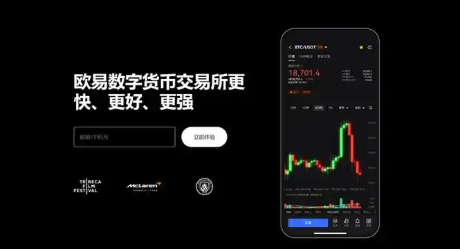 oe正规交易平台系统展示图